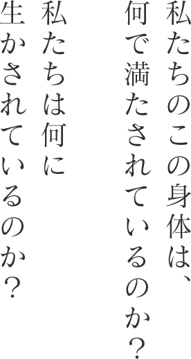 私たちのこの身体は、 何で満たされているのか? 私たちは何に 生かされているのか?